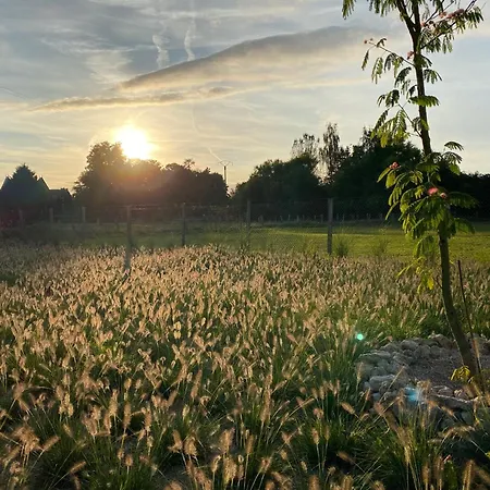 Tatil Evi Chaleureuse Ferme Restauree Au Calme Avec Piscine