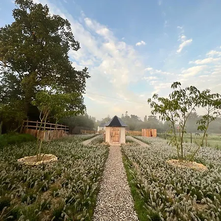 Chaleureuse Ferme Restauree Au Calme Avec Piscine * Fiquefleur-Équainville