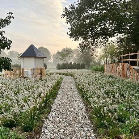 Chaleureuse Ferme Restauree Au Calme Avec Piscine